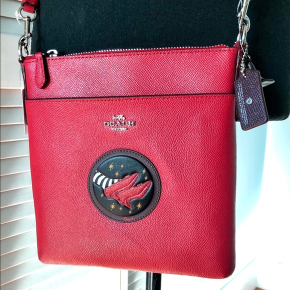 large lunch bolsa with compartments